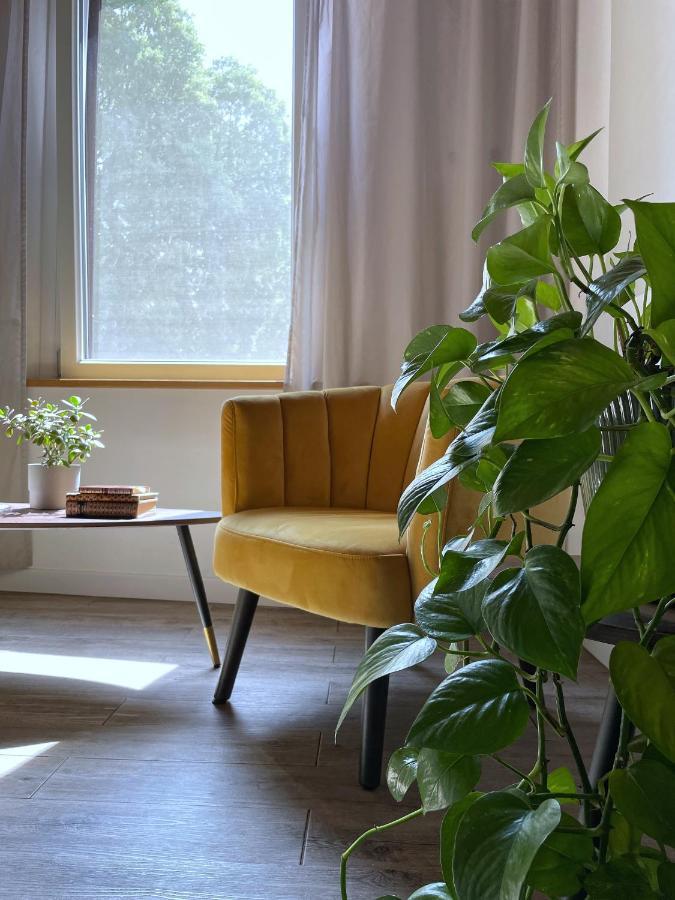 Alkimia Smart Rooms Ferrara Eksteriør bilde